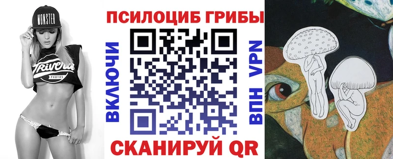 Купить закладки  Березники  Псилоцибиновые грибы Psilocybe 